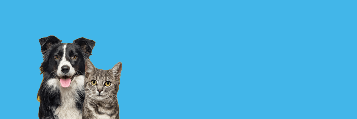 Banner background
